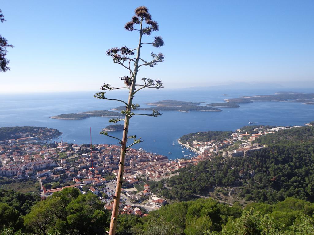 Ana Tudor Apartments Hvar Town Extérieur photo