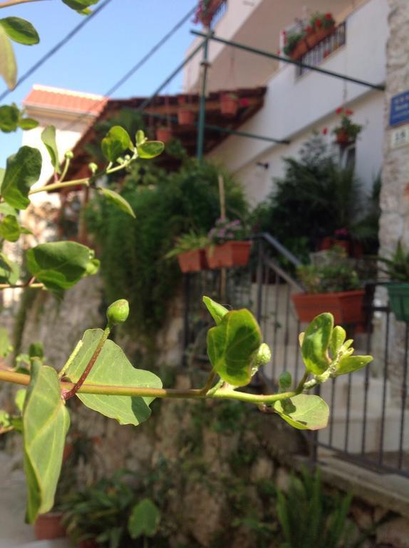 Ana Tudor Apartments Hvar Town Extérieur photo